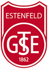 Logo TSG Estenfeld