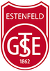 Logo TSG Estenfeld