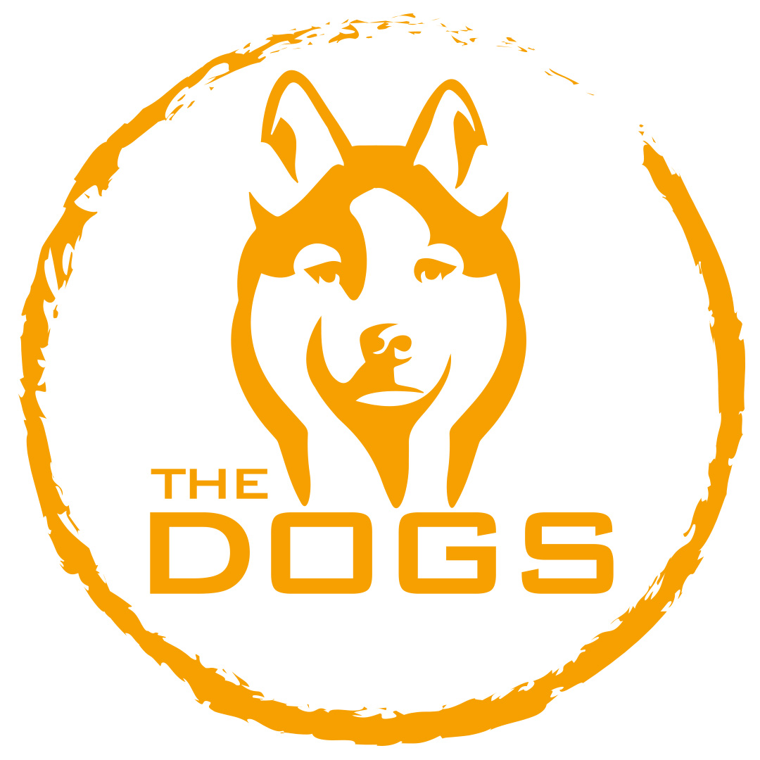 Logo TSV Pfungstadt