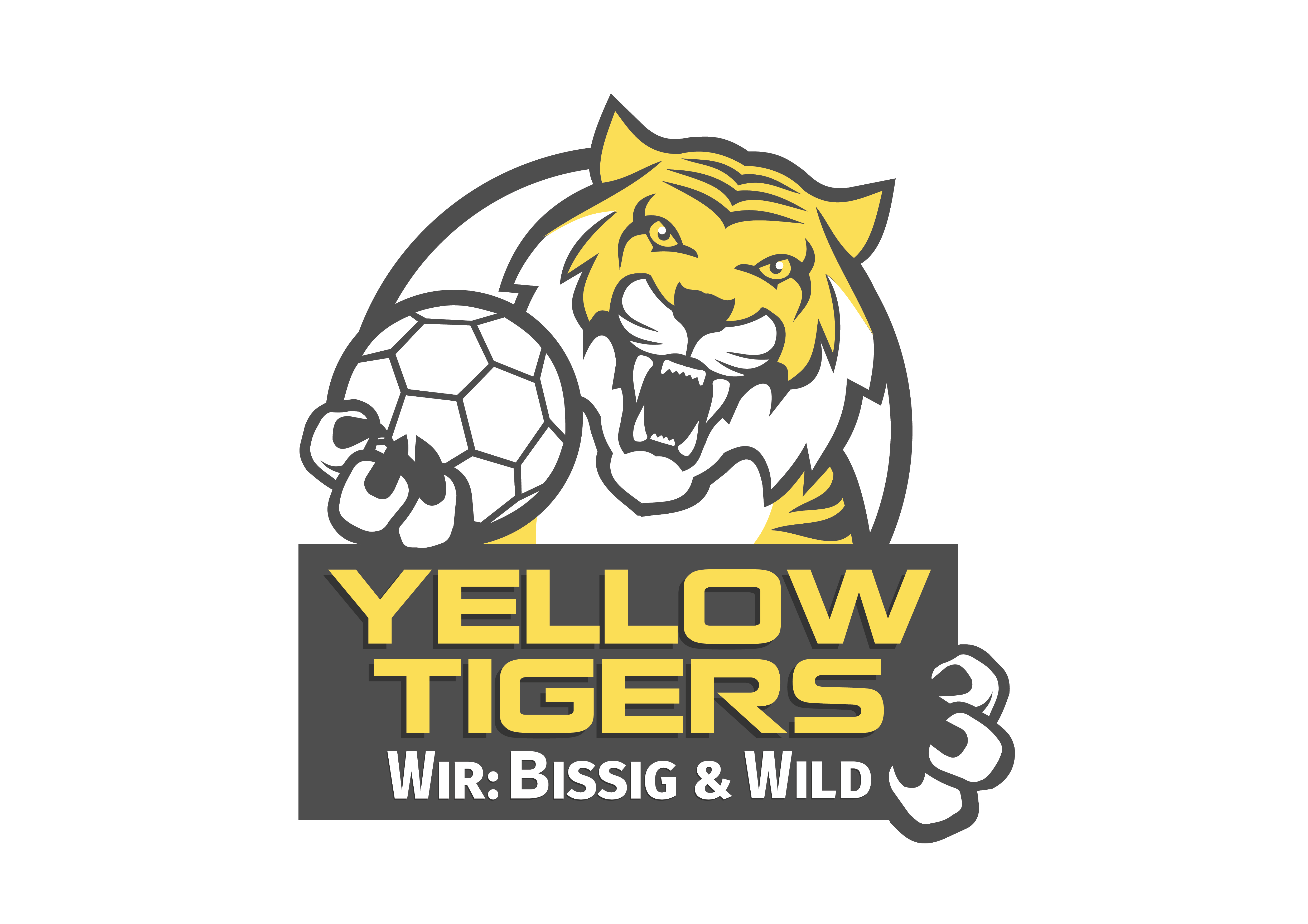 Logo HSG Weiterstadt/Braunshardt/Wfd.