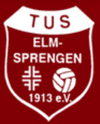 Logo SG TuS Elm-Sprengen - HSG Fraulautern-Überherrn 