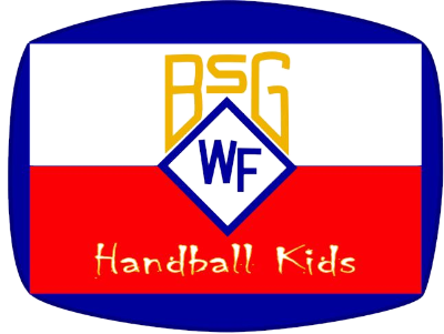 Logo BSG Fernsehelektronik