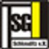 Logo TSG Schkeuditz