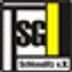 Logo TSG Schkeuditz