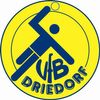 Logo VfB Driedorf 1