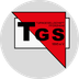 Logo TGS Pforzheim 2