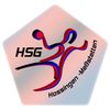 Logo HSG Hossingen-Meßstetten