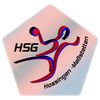 Logo HSG Hossingen-Meßstetten 2