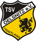 Logo TSV Oelsnitz e.V. 1