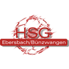 Logo HSG Ebersbach/Bünzwangen