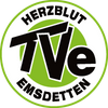 Logo TV Emsdetten 1898 4