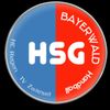 Logo HSG Bayerwald