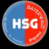 Logo HSG Bayerwald (GD)