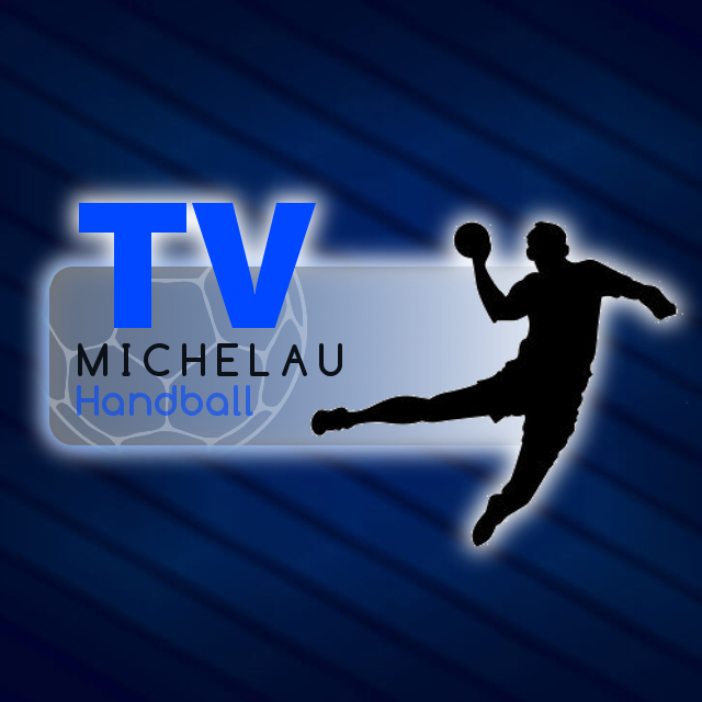 Logo TV Michelau 0