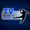 Logo TV Michelau 0