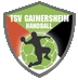 Logo Schweden (TSV Gaimersheim)