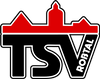 Logo TSV Roßtal III