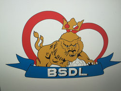 Logo HC BSDL III