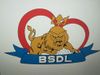 Logo HC BSDL II