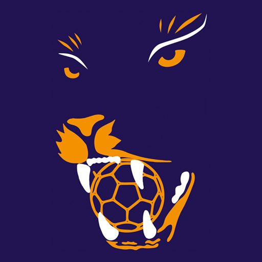 Logo Panthers Gaggenau