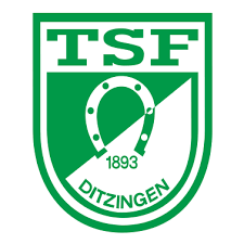 TSF Ditzingen