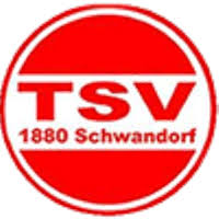 Logo TSV Schwandorf II