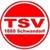 Logo TSV Schwandorf