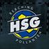 Logo HSG Berching/Pollanten