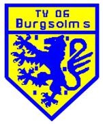 Logo TV Burgsolms