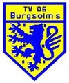Logo MSG Burgsolms/Stockhausen