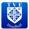 Logo TV Erfelden