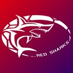 Logo Handball Leideleng
