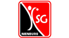Logo HSG Nienburg