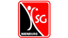 Logo HSG Nienburg III