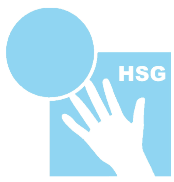 Logo HSG Isenburg/Zeppelinh.