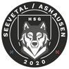 Logo HSG Seevetal/Ashausen gem.