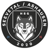 Logo HSG Seevetal/Ashausen III