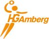 Logo HG Amberg  II