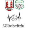 Logo HSG Weißeritztal II