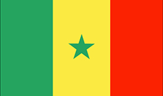 Logo A-Frauen Senegal