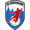 Logo HC Burgenland