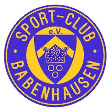 Logo HSG Schröttinghausen-Babenhausen
