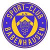 Logo HSG Schröttinghausen-Babenhausen