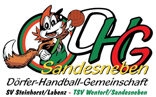 Logo DHG Sandesneben 2