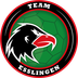 Logo TEAM Esslingen