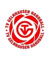 Logo TV Gelnhausen 1