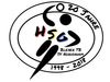 Logo HSG Blexer TB/SVN