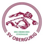 Logo HSG Obergurig-Cunewalde