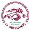 Logo HSG Obergurig-Cunewalde