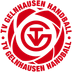 Logo TV Gelnhausen III